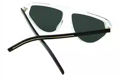 DIOR Sunglasses Silver Gray Reflective Transparent Frame