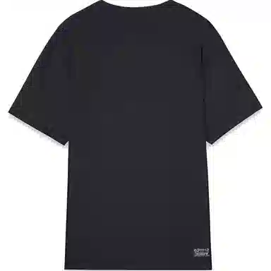 levis T