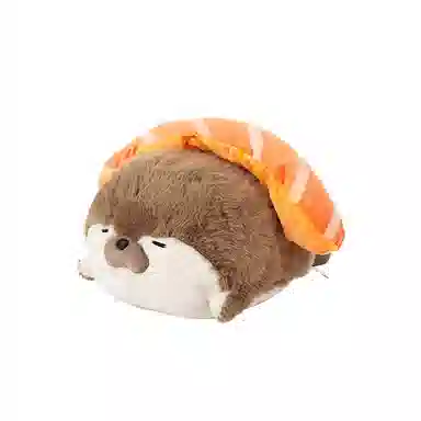 40cm70cm