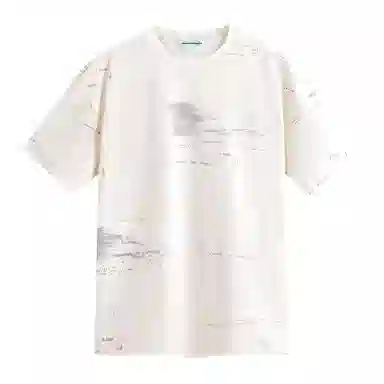 FAIRWHALE T