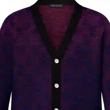 LOUIS VUITTON SS25 V