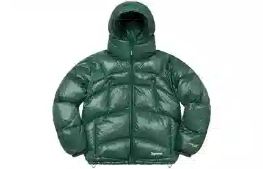 Supreme Featherweight Down Puffer Jacket