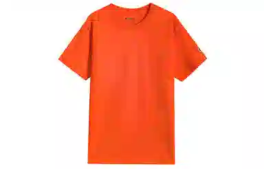Champion Basic Logo Tee Orange