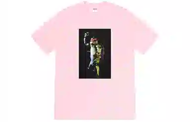 Supreme Raphael Tee