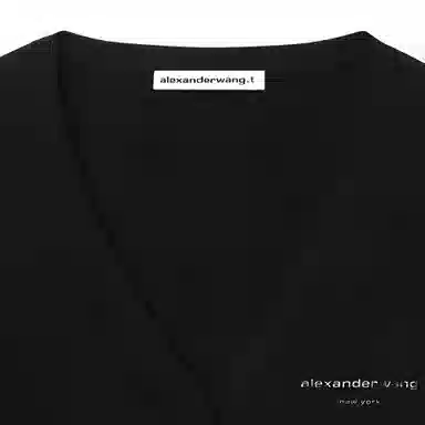 alexander wang V