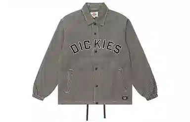 Dickies FW22 Large Logo Striped Jacket