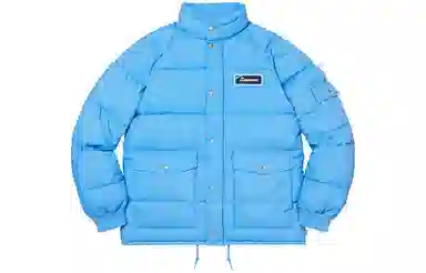 Supreme x Polartec Raymond Pettibon Puffer Jacket