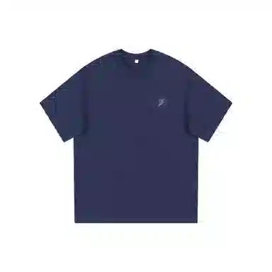 Lightning X Storm logo300T