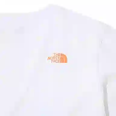 THE NORTH FACE T