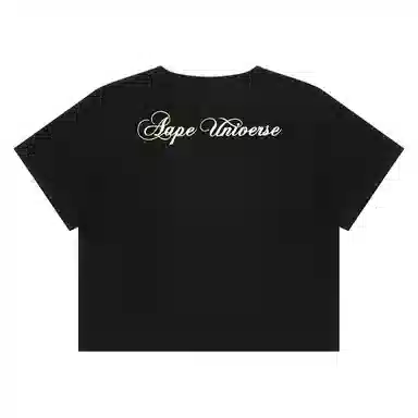 Aape T