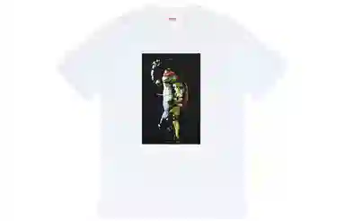 Supreme Raphael Tee
