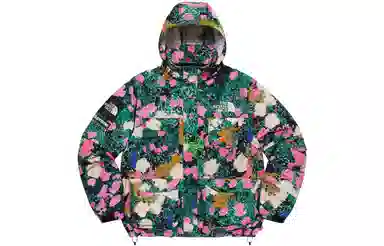 Supreme x THE NORTH FACE Logo