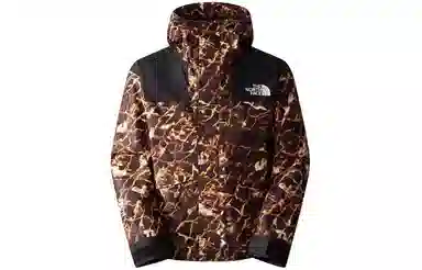 THE NORTH FACE 1986 Logo