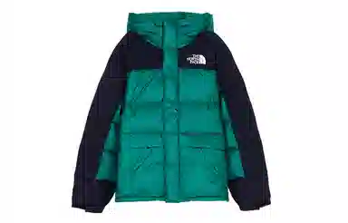 THE NORTH FACE DOWN PARKA ENERGY