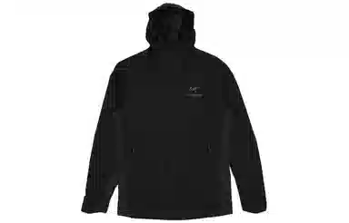 Arcteryx Atom SL Hoody