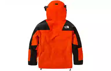 The North Face 1994 Retro Mountain Light Futurelight Jacket Red
