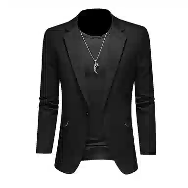 Pierre Cardin Men's Blazer