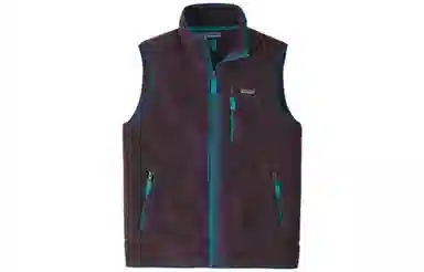 Patagonia Retro Fleece Vest