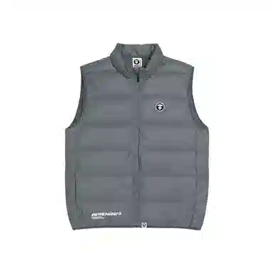 Aape Vest