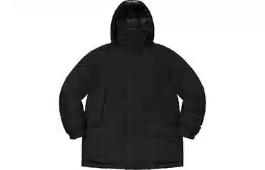 Supreme GORE-TEX Down Parka