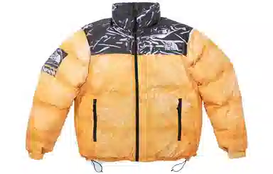 Supreme x The North Face Printed Nuptse Jacket
