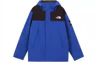 THE NORTH FACE SS23 Logo