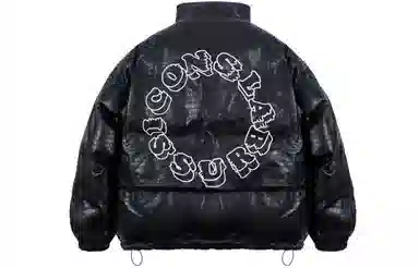 ICONS Lab Pu