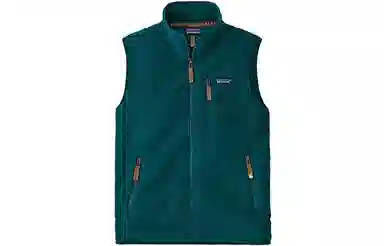 Patagonia Retro Fleece Vest