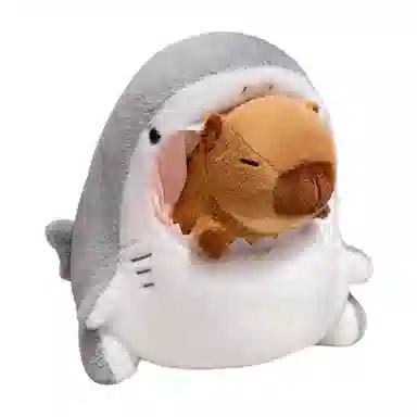 FGHGF X 30cm40cm
