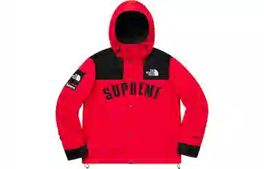 Supreme x The North Face SS19 Jacket Red