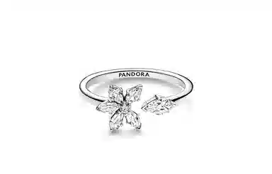 Pandora True Timeless Snowflake Ring