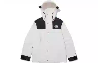 THE NORTH FACE Novelty Gore-tex MountainJacket 1990