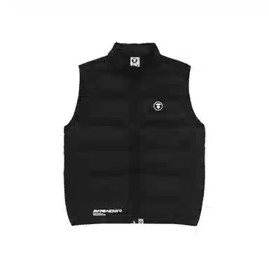 Aape Vest