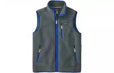 Patagonia Retro Fleece Vest