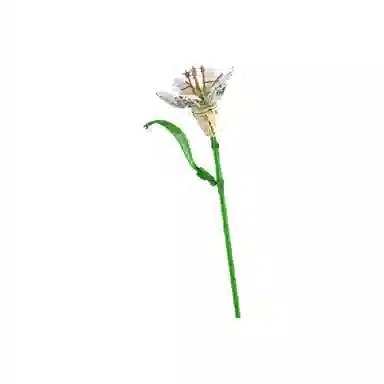 T 20pcs T-26317