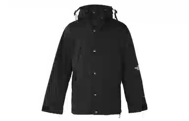 THE NORTH FACE FW21 1994 Icon