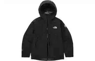 THE NORTH FACE FELIX GORE-TEX Logo