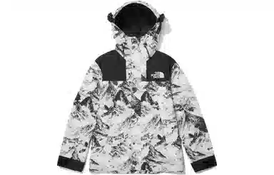 The North Face 1990 Gore Tex Snow Mountain Jacket