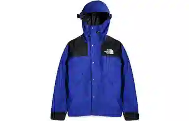 THE NORTH FACE 1990 Logo