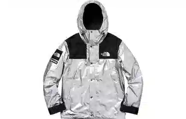 Supreme x The North Face Metallic Jacket Silver