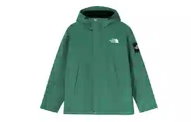 The North Face DryVent Jacket Green