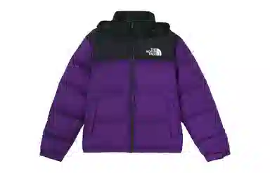THE NORTH FACE 1996 Nuptse 700