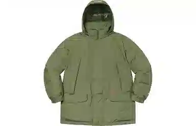 Supreme GORE-TEX Down Parka
