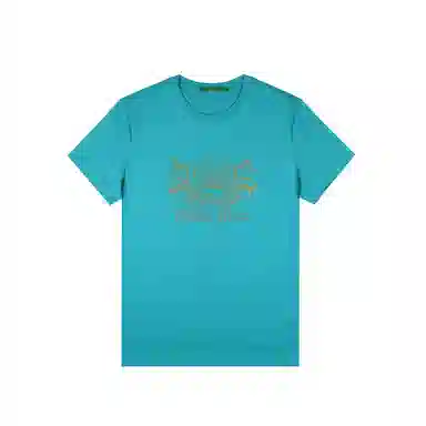 Raidy Boer T