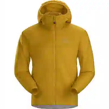 Arcteryx Atom LT Hoody