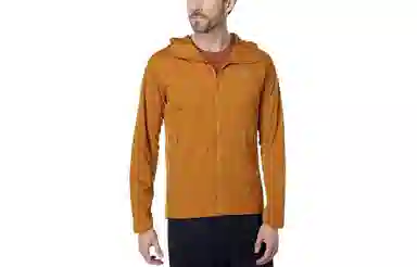 Arcteryx Atom SL Hoody