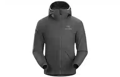 Arcteryx Atom LT Hoody