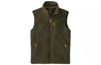 Patagonia Retro Fleece Vest