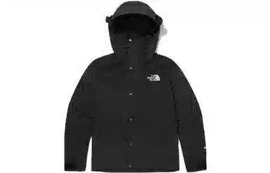 The North Face Novelty GTX Mountain Jacket