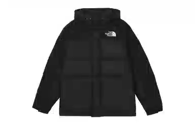 THE NORTH FACE Logo